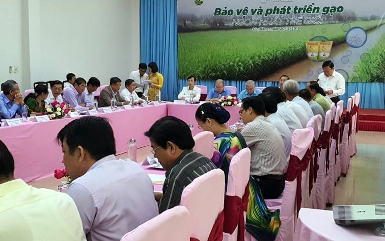 Dự án ngoài sản xuất còn phục dựng quá trình lai tạ giống làm nên gạo ngon nhất thế giới (ảnh Nhật Hồ)