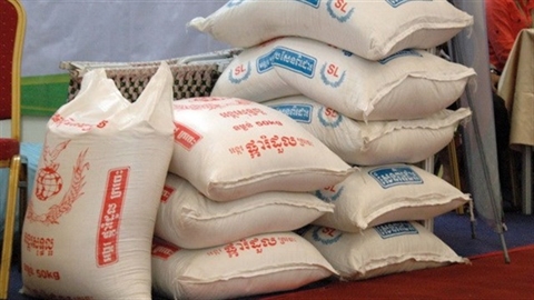 gạo Campuchia được đánh giá là gạo lúa mùa, loại lúa ít sử dụng thuốc trừ sâu nên sạch hơn, an toàn hơn