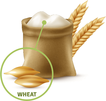 GẠO TẺ THƠM NGON